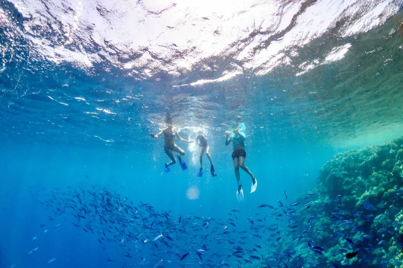 Snorkel en la Isla Paradise en Hurgada